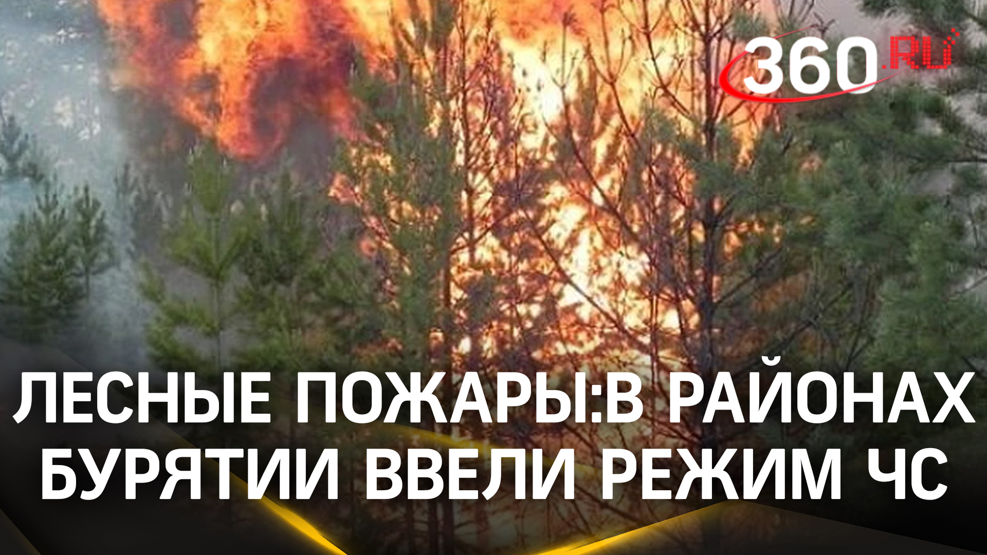 8 тыс. гектаров пламени охватили Бурятию. Власти ввели режим ЧС, а жителям запретили ходить в лес