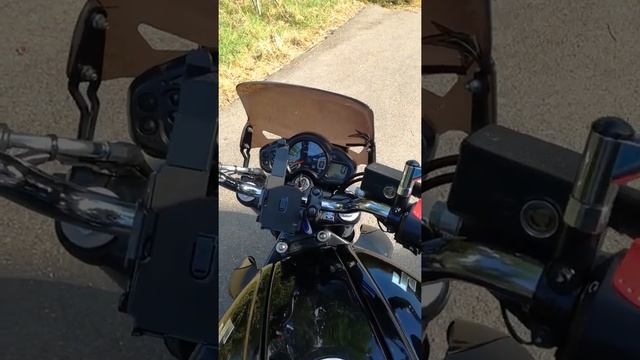 Suzuki SFV 650 Gladius + IXIL Sound