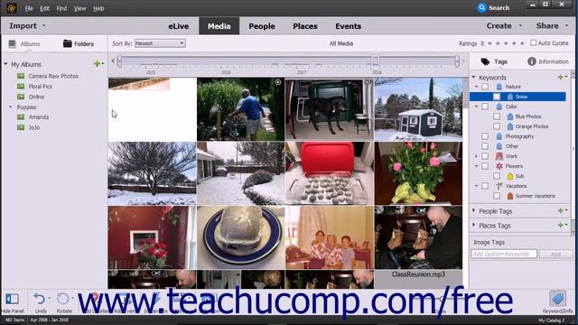 Photoshop Elements 2018 Tutorial Date View and Timeline  View Adobe Training