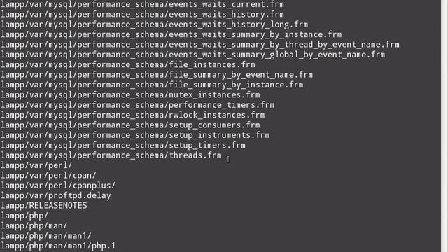 Linux Mint 13 и установка Xampp