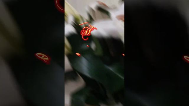 От души желаю счастья!