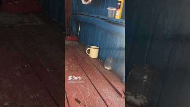 Лапу правую вперёд, а потом ее назад)