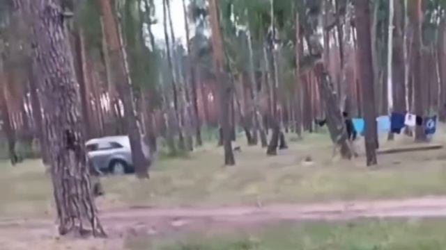 Б..дь - Машина