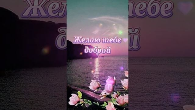 Доброй ночи любимая моя!