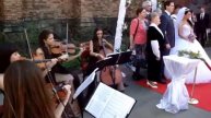 Выездная регистраци брака (струнный квартет)