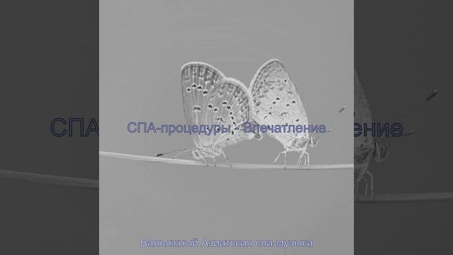 Атмосфера (Здоровье)