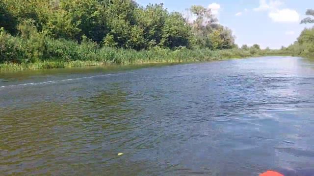 18.08.23г. река Ворона. Речные удивления