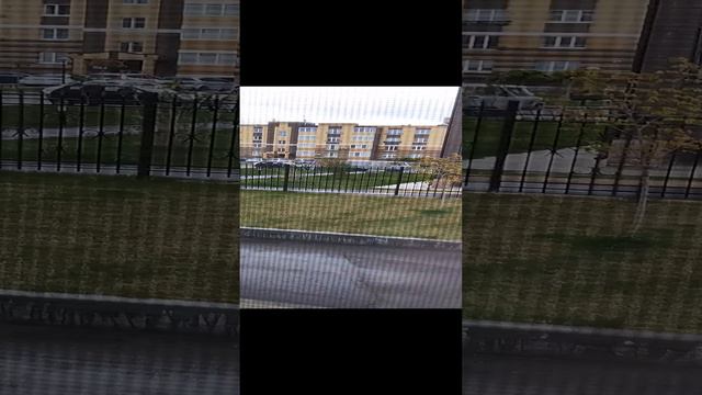 Я сегодня снимаю про природу