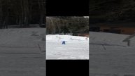 Синий аксолотль на лыжах ⛷