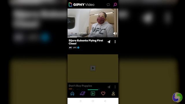 Giphy - Tutorial for Beginners in 7 MINUTES! [ 2020 updated ]