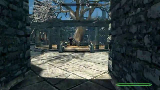 just Skyrim SE dude #1