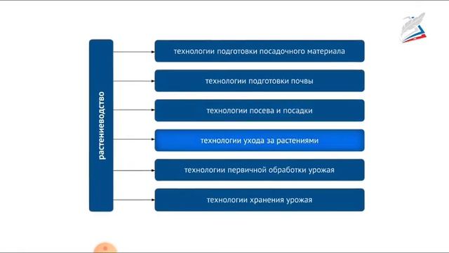 8 кл Технология девочки 4 урок