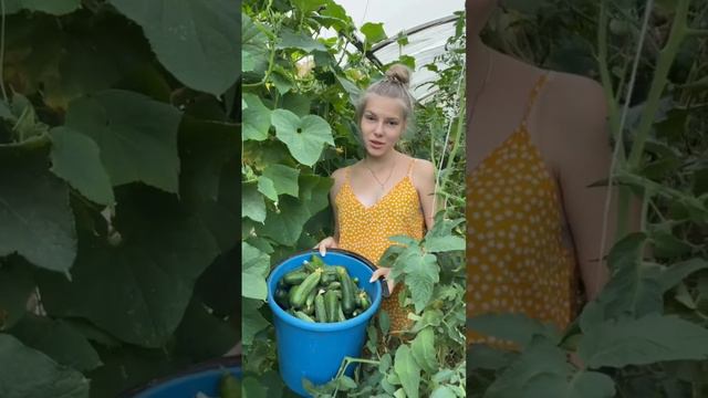 Я из Волгоградской области, а вы? #деревня #огород #дача #сад