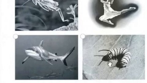 unit 8 pg96 97 workbook 11 20 2020