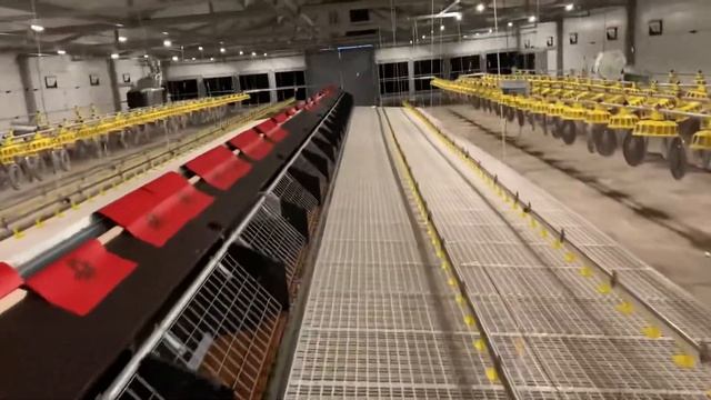 #Оборудование для содержания родительского поголовья бройлеров ?