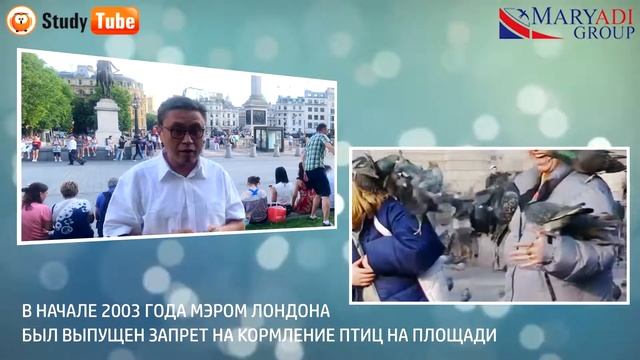 Трафальгарская площадь  Англия вокруг меня