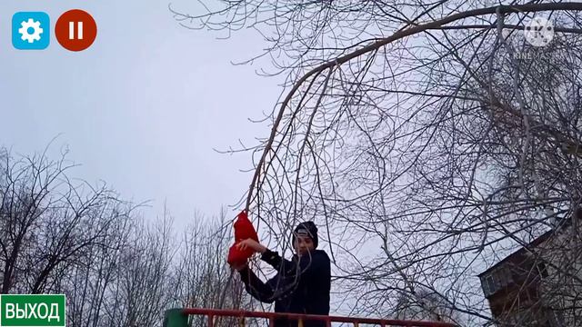новый angry birds 2022
