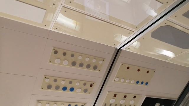 たんたんと雑学