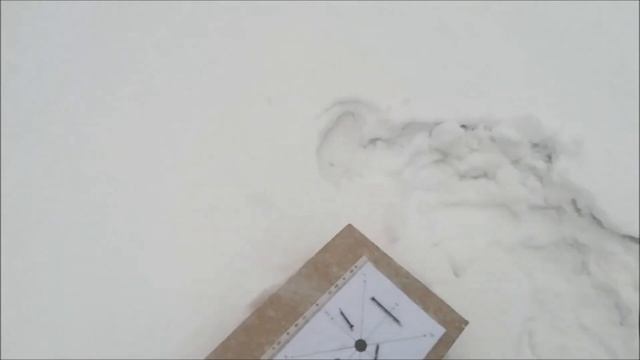 Quest Q40 и пробный тест "Monte’s Nail Board Test"