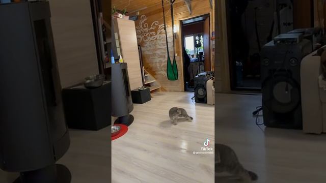 9a207c13b5d4d0688533f1bda55c5bb9