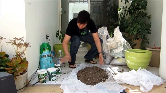 SALVIA DIVINORUM - History and Potting with "Silos de Agua" -Hidrogel-.