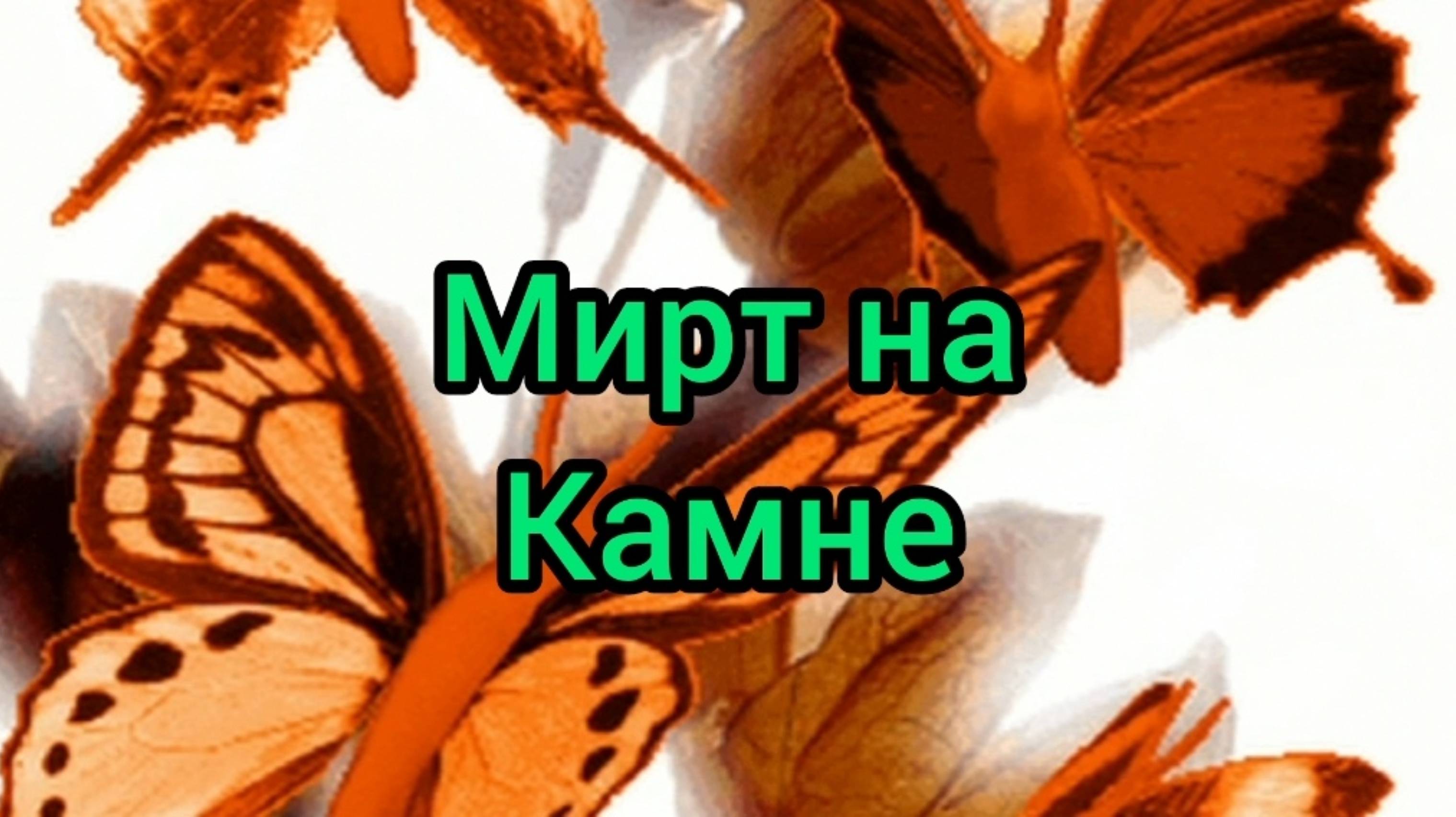 Мирт на камне.