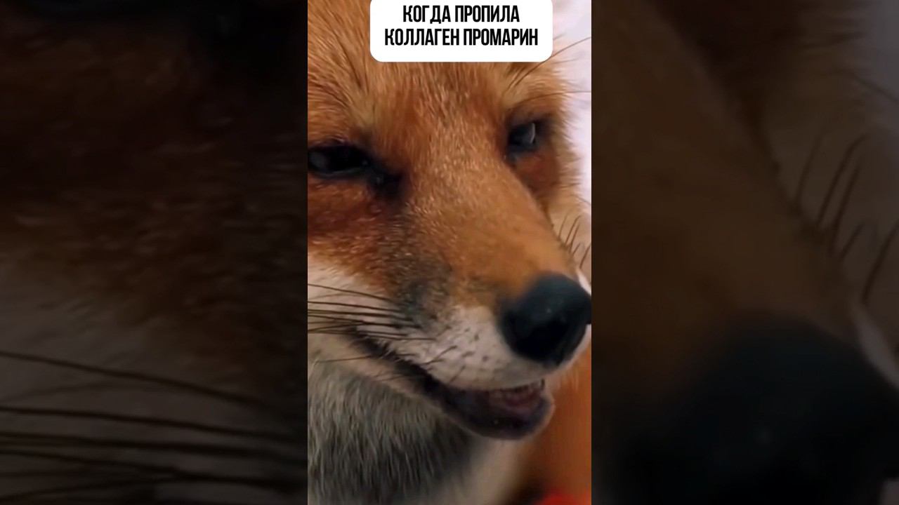 Когда пропила коллаген