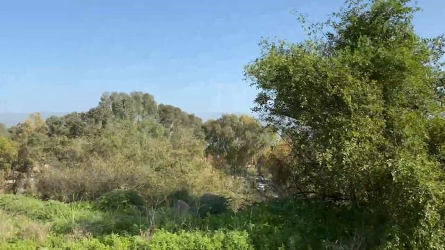 Рош Пина/Капернаум. Израиль.