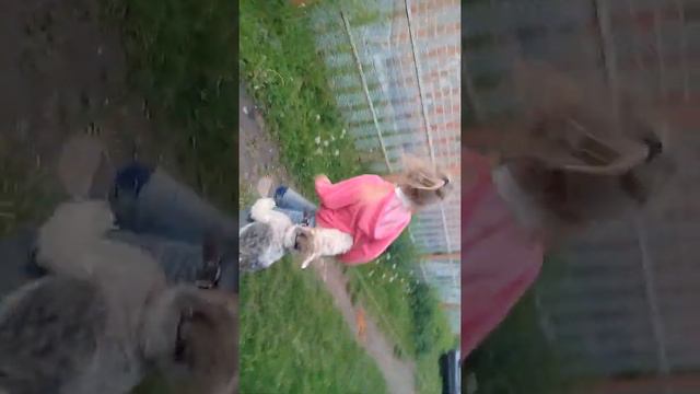 Брачные игры❤❤❤😂