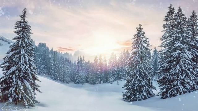 Winter forest. Christmas music.Snow.Winter fairy tale.Зимний лес Рождественская музыка.Зимняя сказк