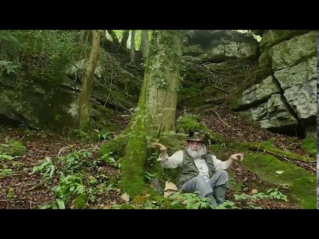 Существа снятые на видео | ТОП 10