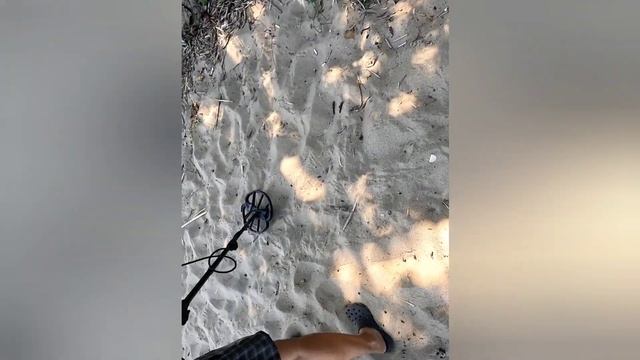 На прогулке с лабрадором, проверяем сигналы металлоискателя на берегу Волги, в поисках клада