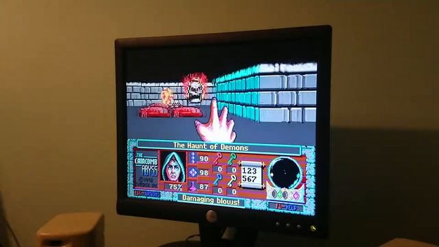 The Catacombs Abyss 3D DOS Gameplay (Final Level)