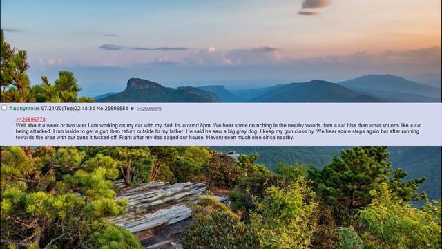 Chan story - /x/ - Encounters in North Carolina