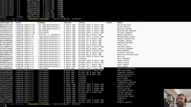YSF Reflector Docker Build PT. 4