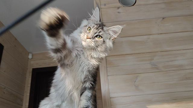 VID20240828173428.mp4