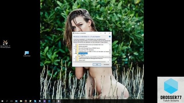 Age of empires 3 initialization failed windows 10 Dutch