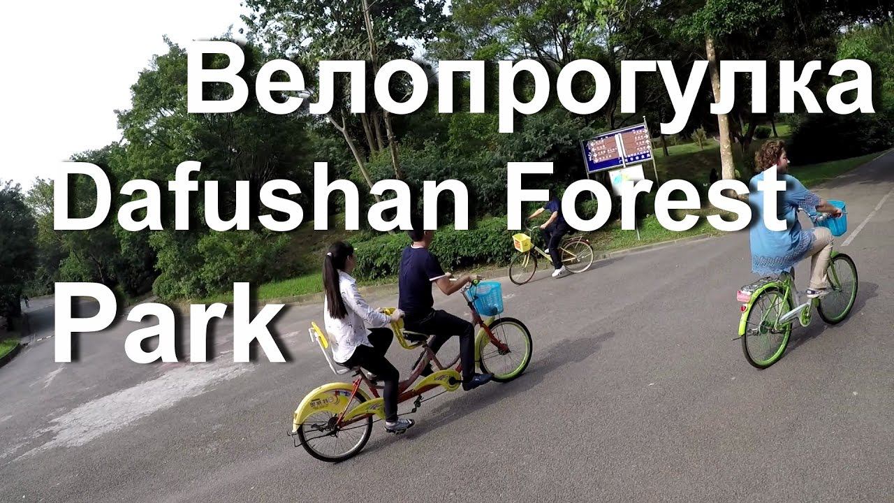 Велопрогулка в Парке Dafushan Forest Park Guangzhou.