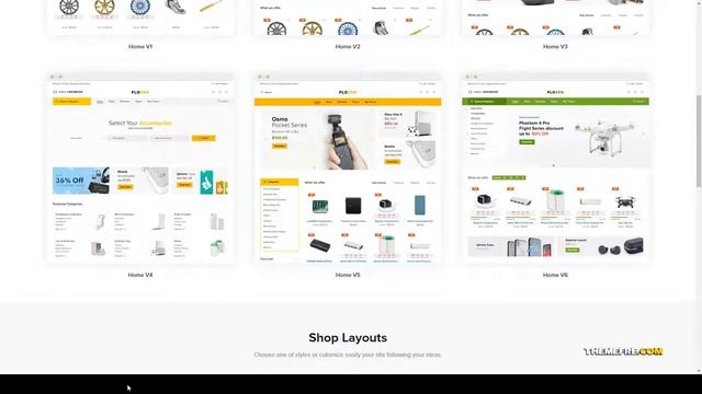 Flozen - WooCommerce AJAX WordPress RTL Theme electronics responsive Monroe