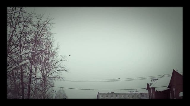 Вороны 2
