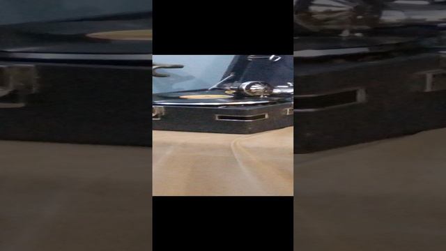 VID_20240510_130037.mp4