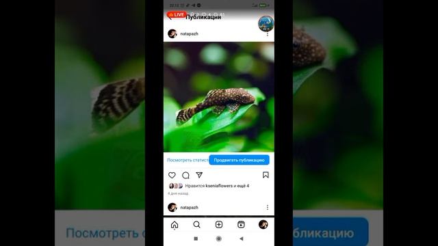 аква стрім, музика релакс, піар каналів