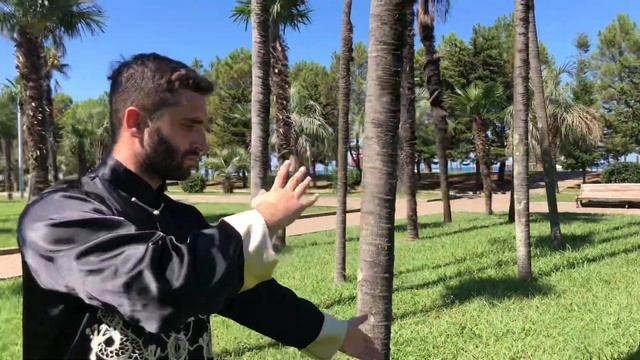 Tai chi Qi Gong Batumi | Тайцзи Цигун Батуми