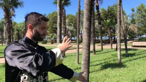 Tai chi Qi Gong Batumi | Тайцзи Цигун Батуми