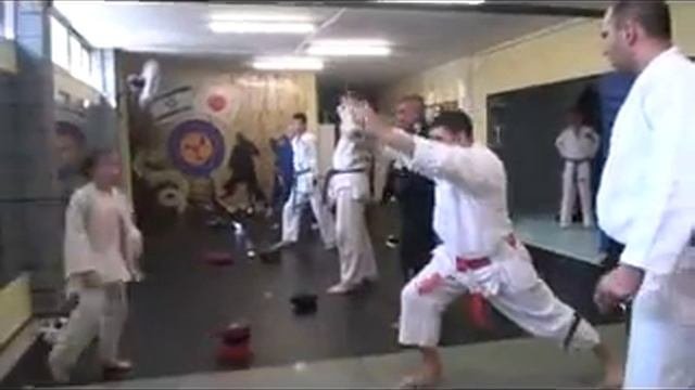 JIU-JITSU (MMA) HADERA Seminar April 2015