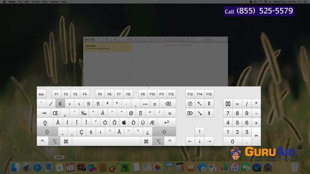 How to Type Euro Symbol on Mac® - GuruAid