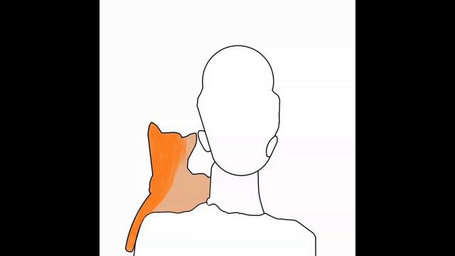 Арт "Девушка и кот" Инфинити пэинтор