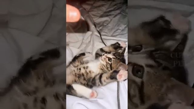 VID_20230625_225013_512.mp4