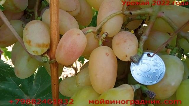 Преображение
