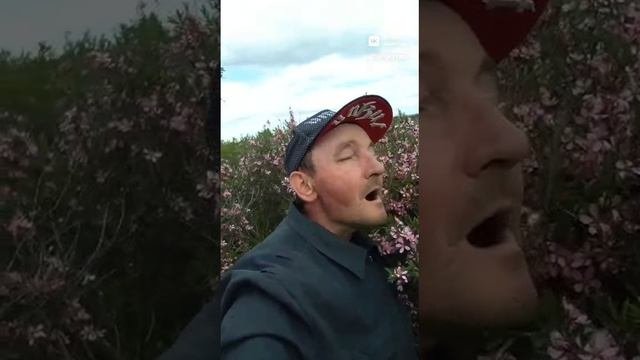 видеоролик.